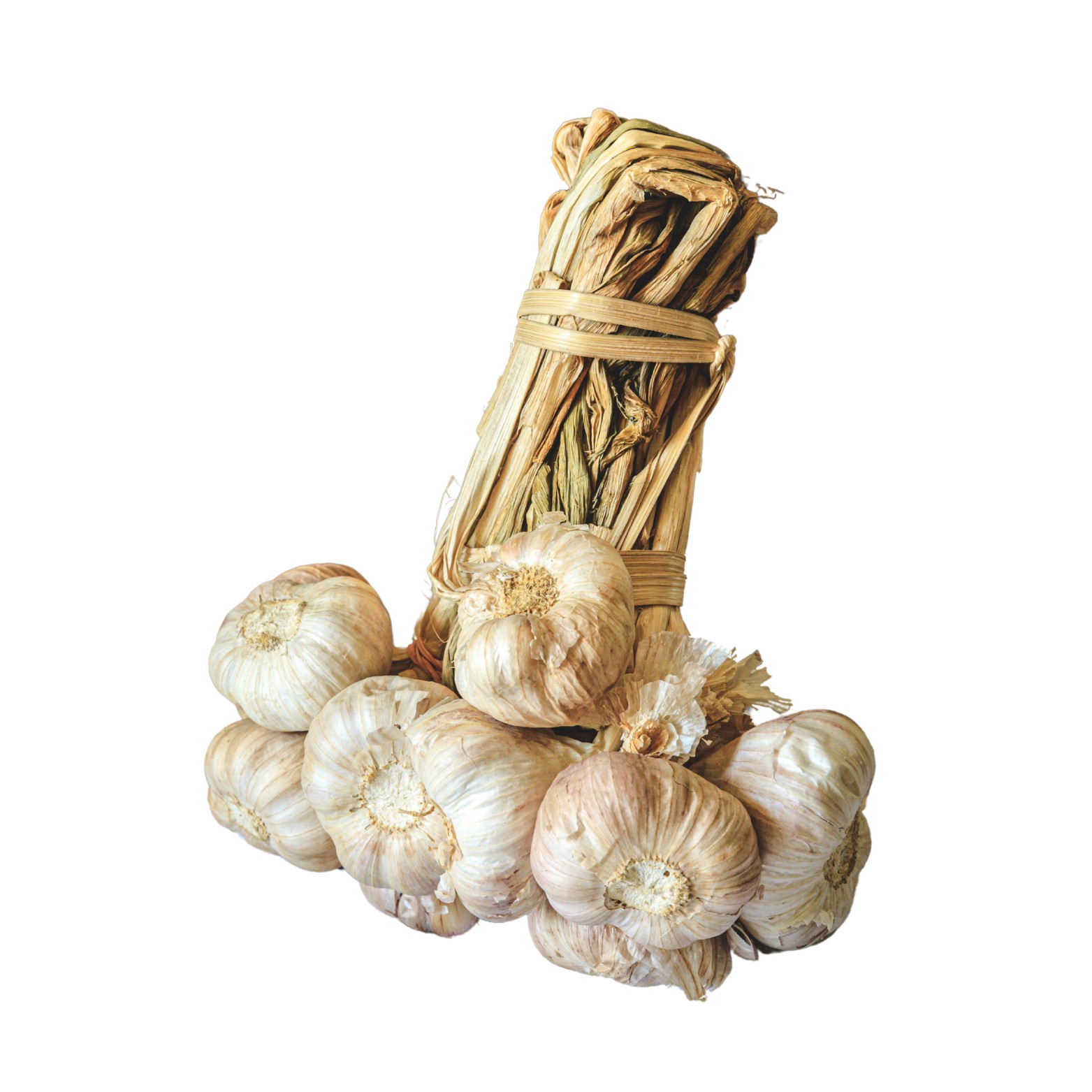 Fresh Garlic